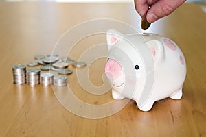 Selective focus of Men hand putting coin to piggy bank with stack of coin on wooden desk fill with natural light background.