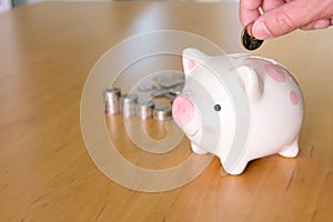 Selective focus of Men hand putting coin to piggy bank with stack of coin on wooden desk fill with natural light background.