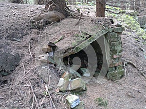 Selective focus of an old demolished lair in a forest