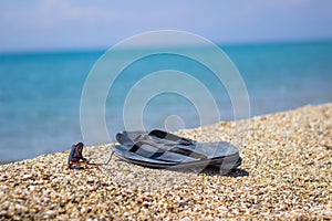 Selective focus on old slippers. Next are sunglasses. They are located on the yellow sand on the beach and it is a beautiful sunny