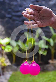 Selective focus photo of Lato-Lato, a traditional children`s toy which is currently going viral, especially in Indonesia. photo