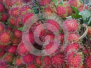 Selective focus of rambutans for sale at a roadside stand