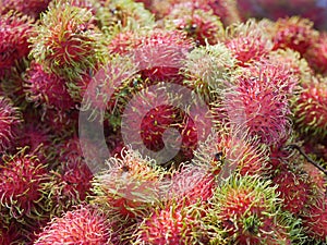 Selective focus of rambutans for sale at a roadside stand