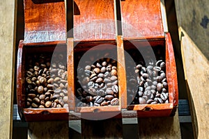 Selective focus of Roasted coffee beans on wooden table background