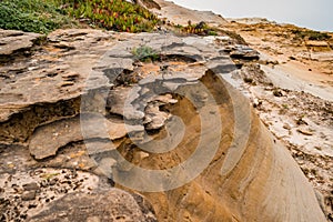 Selective focus on rock formation and typical cliff vegetation, Calada - Ericeira PORTUGAL