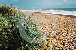 Selective focus of rocky beach with grass and wavy ocean shining under the sun rays