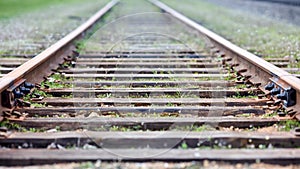 Selective focus rounding of railway abandoned rusty, overgrown with grass and moss. Empty turning single track of