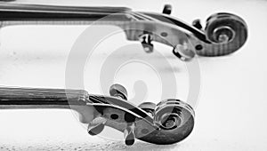 In selective focus of Scroll and Pegbox of violin