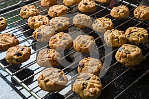 Selective focus with shallow depth of field on home made cookies