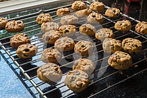 Selective focus with shallow depth of field on home made cookies