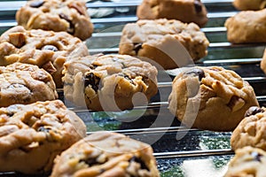 Selective focus with shallow depth of field on home made cookies