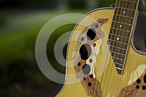 Selective focus shot of acoustic ovation style guitar with an ornamental scratch plate