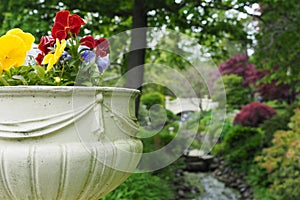 Selective focus shot of beautiful flowers in Halifax public garden on a sunny summer day