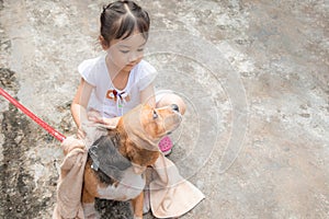 Selective focus shot with copy space of family activity which kid girl is washing her dog with love and kindness shows the