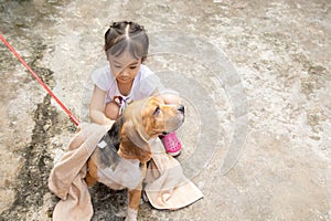Selective focus shot with copy space of family activity which kid girl is washing her dog with love and kindness shows the