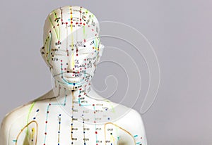 Selective focus shot of a dummy with Acupuncture points and meridians