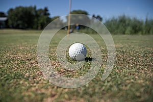 Selective focus shot a golf ball in the Golf camp court