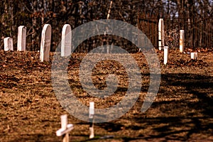 Selective focus shot of gravestones on a cemetery