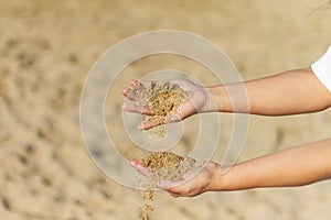 Selective focus shot of hands holding sand, Barceloneta Beach, Barcelona, Spain