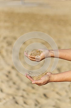 Selective focus shot of hands holding sand, Barceloneta Beach, Barcelona, Spain