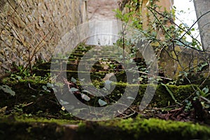 Selective focus shot of mossy stairway to an old castle