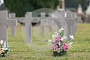 Selective focus shot of potted fresh flowers in the cemetery