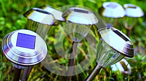 Selective focus shot of solar-powered garden lights