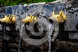 Selective focus shot of statues of The Holy Tibetan Buddha shrine of Muktinath Upper Mustang, Nepal