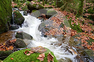 Selective focus shot of a stream flowing on the mossy rocks