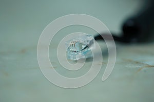 Selective focus shot of a telephone cable with socket