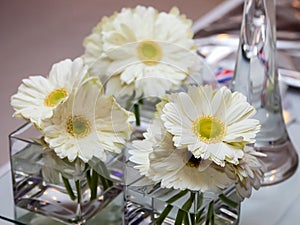 Selective focus shot of white gerbera flowers in transparent vases