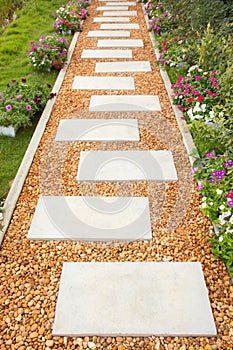 Selective focus shot of white stone path with yellow and brown gravel in colorful flower garden and green grass shows beautiful