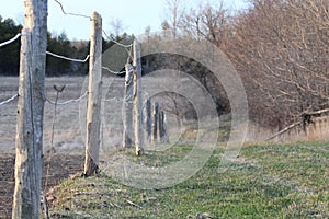 Selective focus shot of wooden posts and wire fence on a farm