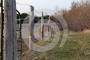 Selective focus shot of wooden posts and wire fence on a farm