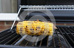 Selective focus of side view of grilling sweet corn and sweet potato on barbecues gas grill