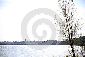 Selective focus on the silhouette of a thin tree with branches against a blur clear lacustrine landscape background