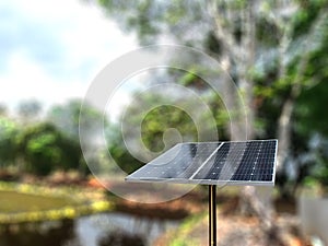 Selective focus of Solar cell or Photovoltaics module PV module, Solar module with blurred background