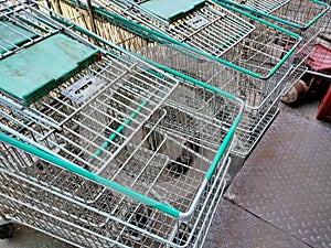 Selective focus. Some shopping carts are arranged outside the supermarket area.Shot were noise and artifacts.