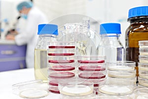 Selective focus of stack of petri dish with agar and a scientist microbiologist working on a microscope at the back.