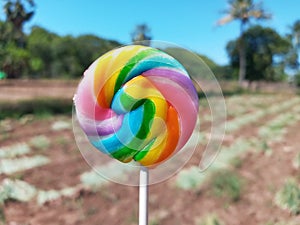 Selective Focus of Swirl Stick Rainbow Candy with Blurred Agriculture Field Background