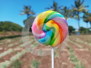 Selective Focus of Swirl Stick Rainbow Candy with Blurred Agriculture Field Background