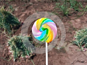 Selective Focus of Swirl Stick Rainbow Candy with Tropical Agriculture Field Background