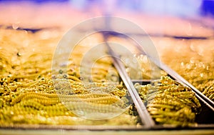 Selective focus to gold and bracelet are gold jewelry in the showcase