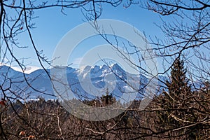 Selective focus on tree branch with scenic view of snow capped Karawanks mountain range near Techelsberg, Carinthia, Austria
