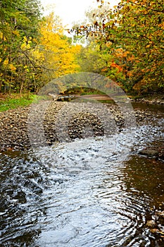 Selective focus vertical view of the Cap-Rouge river flowing in woods with colourful Fall foliage