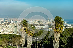 A selective focus view of Barcelona under a cloud of pollution and with some palm trees in the front