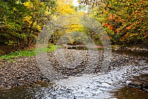 Selective focus view of the Cap-Rouge river flowing in woods with colourful Fall foliage