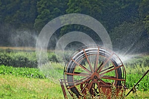 Selective focus of water leaking from a hosepipe in a farmland