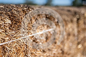 Selective focus on wire tie used on a square straw hay bale.