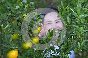 Selective focus young adult asian woman farmer gardener smiling and standing under organic orange tree plant farm and harvesting